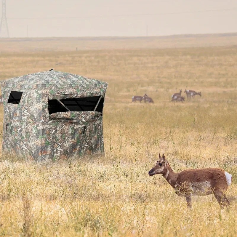 Barraca de Camuflagem para 2-3 - Camping Zelt Outdoor avaliação e preço
